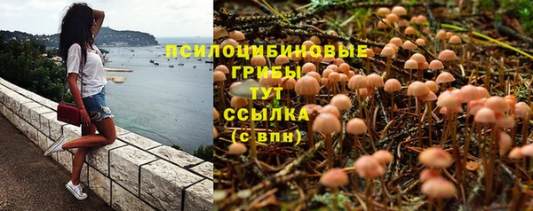 эйфоретик Алзамай