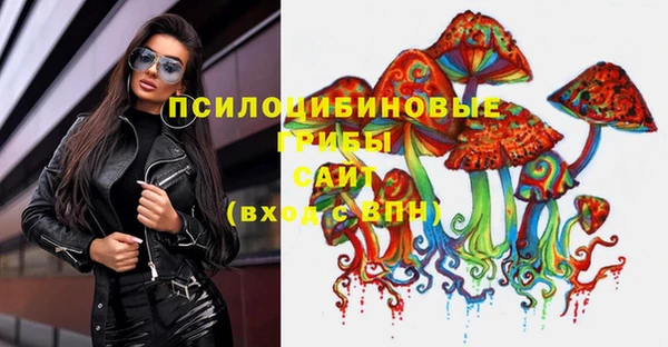 дживик Алексин