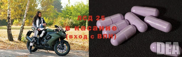 эйфоретик Алзамай