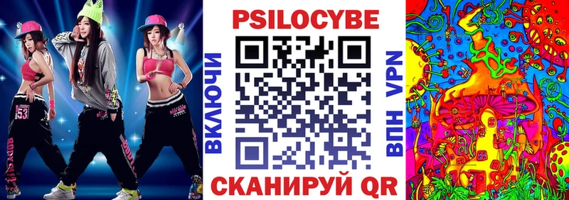 blacksprut ссылка Бологое Псилоцибиновые грибы Psilocybine cubensis